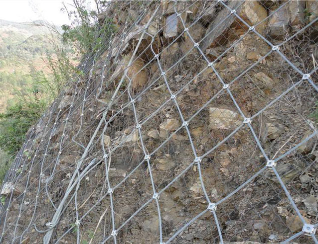 Rockfall Protective Net