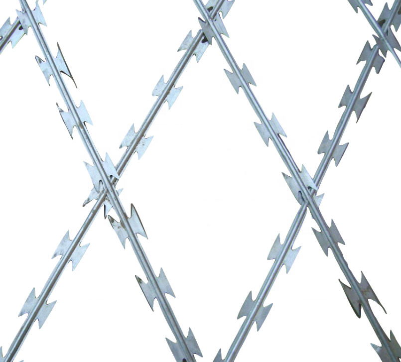 Razor Barbed Wire Mesh